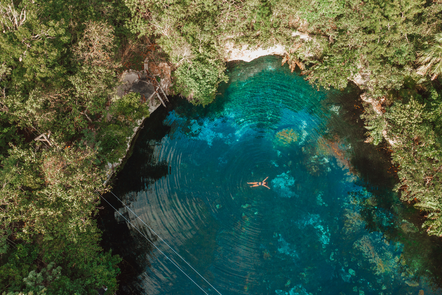 Vista aérea de una persona flotando en un cenote de agua clara rodeado de exuberante vegetación verde.