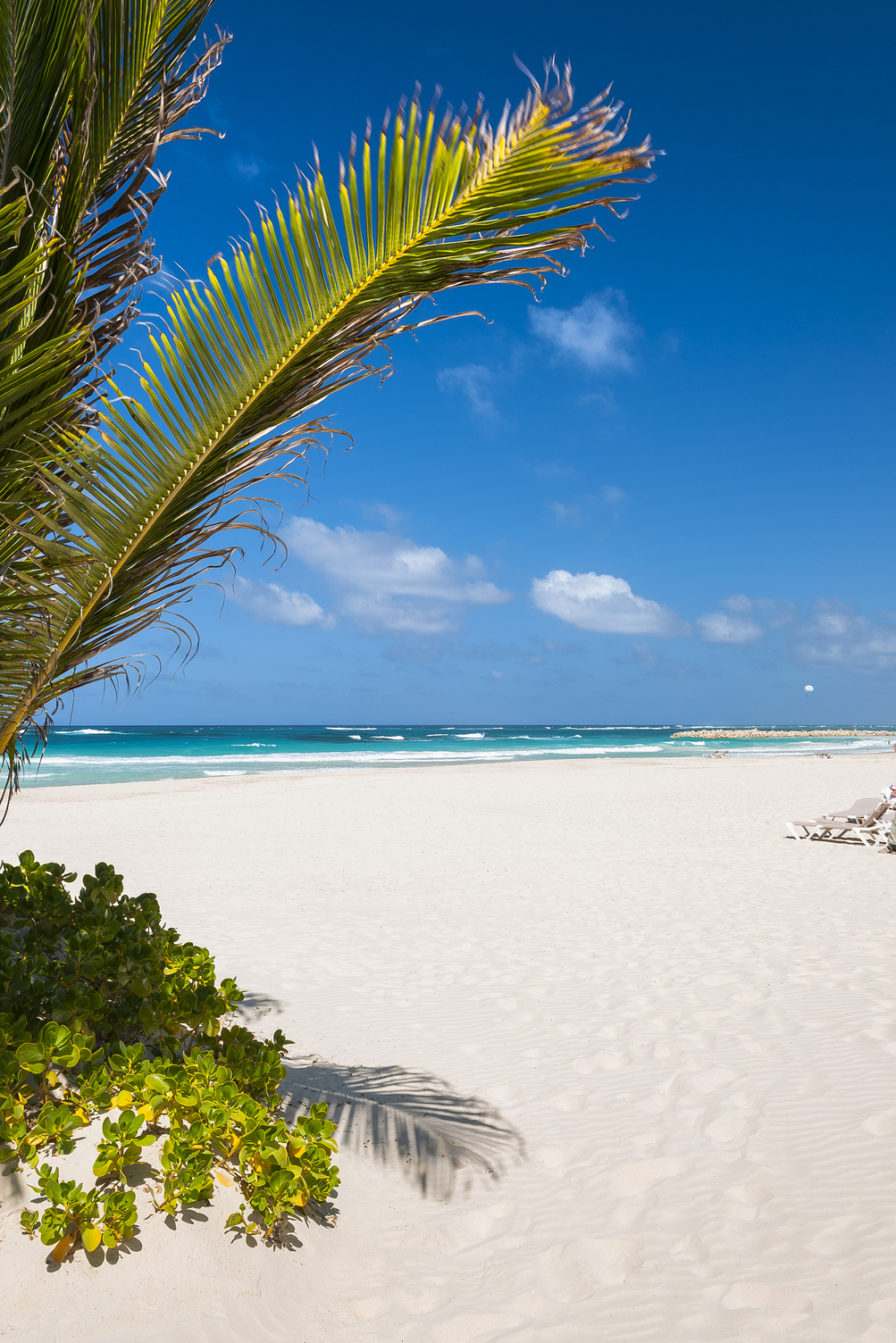 Sunny beach with white sand and clear blue sky, framed by a palm frond and lush greenery in Punta Cana.